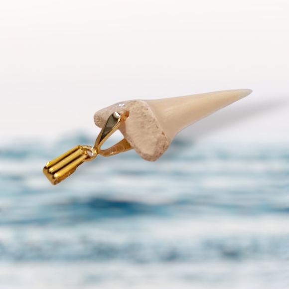 Authentic Fossil Otodus Obliquus Shark Tooth Pendant - Picture 2 of 4